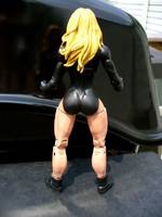 Dinah Lance - Black Canary (Legendary Comic Book Heroes) Custom Action Figure