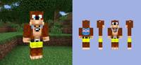 Banjo Kazooie (Minecraft) Custom Action Figure