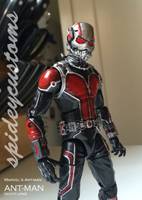 Ant-Man (Marvel Legends) Custom Action Figure