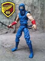 Ryu Hayabusa (Ninja Gaiden) Custom Action Figure