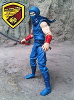 Ryu Hayabusa (Ninja Gaiden) Custom Action Figure