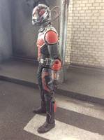 Ant-Man - Scott Lang (Marvel Legends) Custom Action Figure