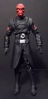 Red Skull (Marvel Legends Infinite Series) (Marvel Legends) Custom Action Figure