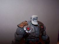 Platinum Hulk (Grey) (Marvel Universe) Custom Action Figure