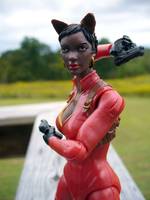 The Fox (Legendary Comic Book Heroes) Custom Action Figure