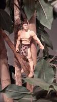 Tarzan: Lord of the Apes (DC Universe) Custom Action Figure