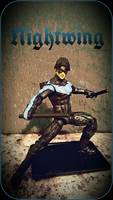 Nightwing (DC Universe) Custom Action Figure