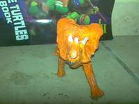 Zog (Teenage Mutant Ninja Turtles) Custom Action Figure