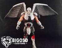 warhawk (rex stewart) justice league beyond (DC Universe) Custom Action Figure