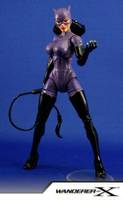 Catwoman ('90s Costume) (DC Universe) Custom Action Figure