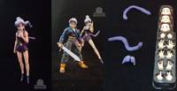 S.H. Figuarts DBZ Bra 01 (Dragonball Z) Custom Action Figure