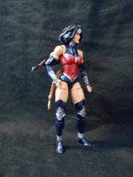 Wonder Woman (DC Infinite Heroes) Custom Action Figure