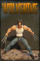 logan (Revoltech) Custom Action Figure