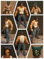 logan (Revoltech) Custom Action Figure