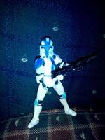 501st Legion Clone Trooper (Star Wars) Custom Action Figure