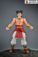Broly (Dragonball Z) Custom Action Figure
