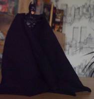 The Dark Knight - Batman (Batman) Custom Action Figure