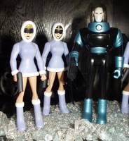 Ice Maidens (Batman - New Animated Series) Custom Action Figure