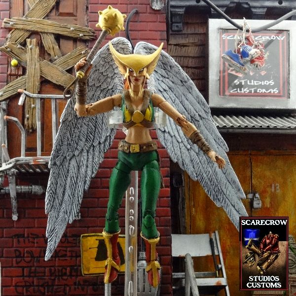 Hawkgirl (DC Universe) Custom Action Figure