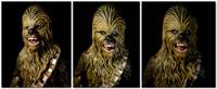 Black series Chewbacca repaint (Star Wars) Custom Action Figure