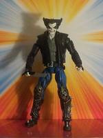 LOBO L.E.G.I.O.N. member (DC Universe) Custom Action Figure
