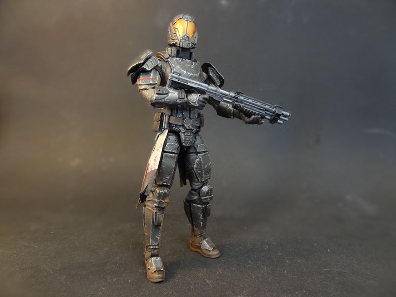custom destiny figures