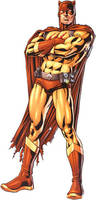 Catman v2 (DC Infinite Heroes) Custom Action Figure