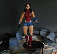Wonder Woman (DC Universe) Custom Action Figure