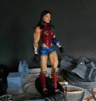 Wonder Woman (DC Universe) Custom Action Figure