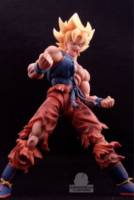 S.H. Figuarts Awakening Goku (Dragonball Z) Custom Action Figure