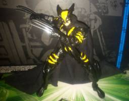 Dark Claw (Amalgam) Custom Action Figure [The fight position]
