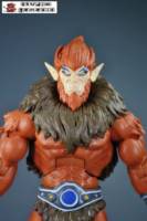 Motuc Beast Lord (Masters of the Universe) Custom Action Figure