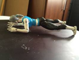 Wii Fit Trainer (Nintendo) Custom Action Figure