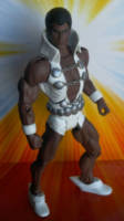 Tyroc Version 2 (DC Universe) Custom Action Figure