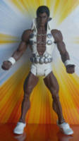Tyroc Version 2 (DC Universe) Custom Action Figure