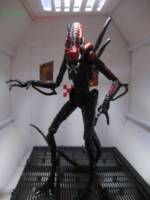 Super Predalien (Alien vs Predator) Custom Action Figure