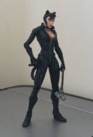 DC Direct Arkham City Catwoman Repaint (DC Direct) Custom Action Figure