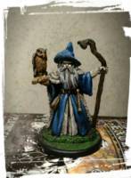 REAPER Wizard with Owl (Dungeons and Dragons) Custom Miniature / Figurine