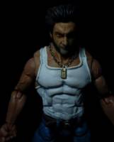 Logan (Hugh Jackman) version 2 (X-Men - Movies) Custom Action Figure