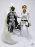 Secret Avengers Moonknight and Agent 13 (Sharon Carter) (Marvel Legends) Custom Action Figure
