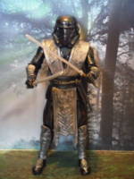 Shadowtrooper Ninja (Star Wars) Custom Action Figure