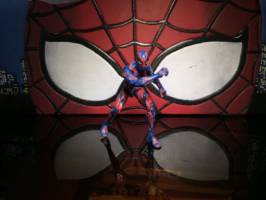 Aracnido Jr /Spider-Man (Marvel Legends) Custom Action Figure