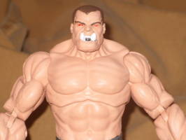 The General (DC Universe) Custom Action Figure