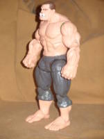 The General (DC Universe) Custom Action Figure