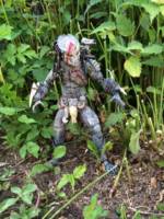 Blood hound Predator (Predator) Custom Action Figure
