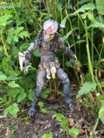 Blood hound Predator (Predator) Custom Action Figure