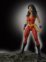 Donna Troy (DC Universe) Custom Action Figure
