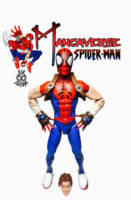 Spider-Man (Mangaverse) (Marvel Legends) Custom Action Figure