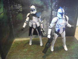 501st Clones (Star Wars) Custom Action Figure