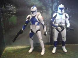 501st Clones (Star Wars) Custom Action Figure